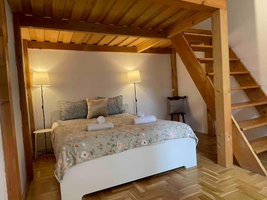 בודפשט Knezits Spacious Ac Terrace Free Parking מראה חיצוני תמונה