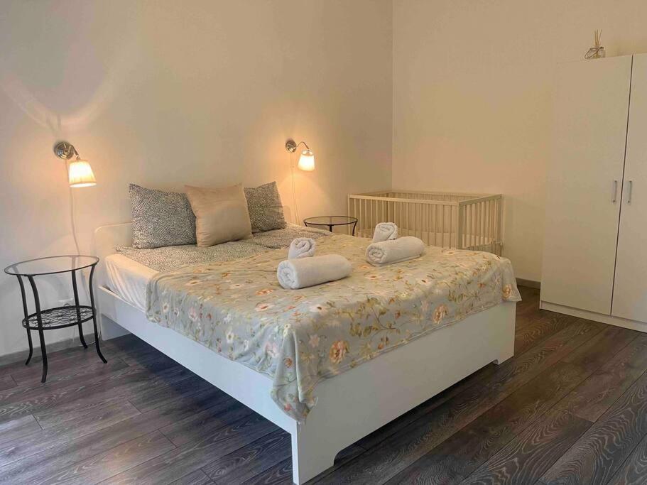 בודפשט Knezits Spacious Ac Terrace Free Parking מראה חיצוני תמונה