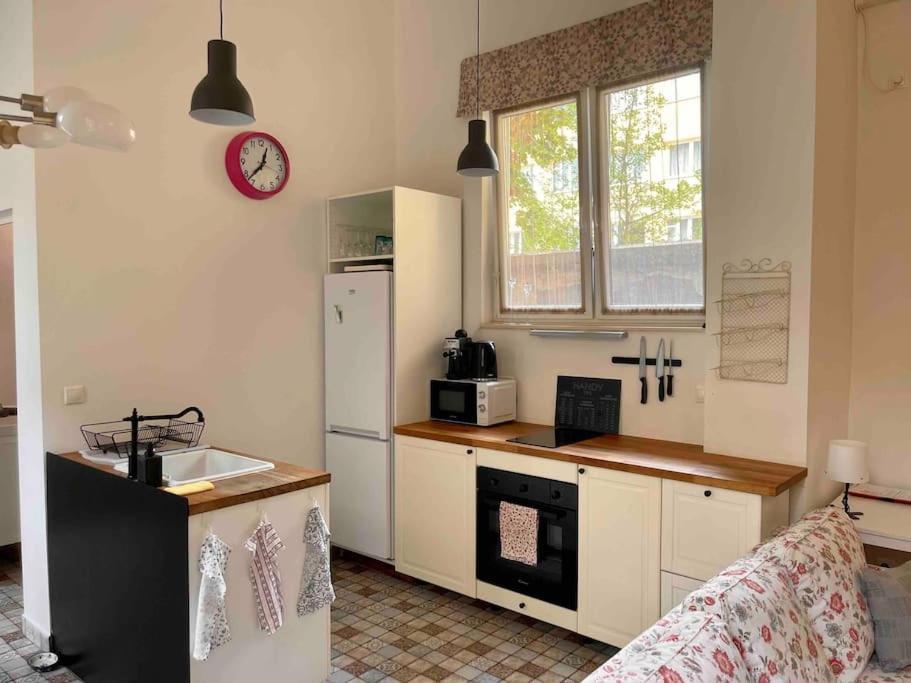 בודפשט Knezits Spacious Ac Terrace Free Parking מראה חיצוני תמונה
