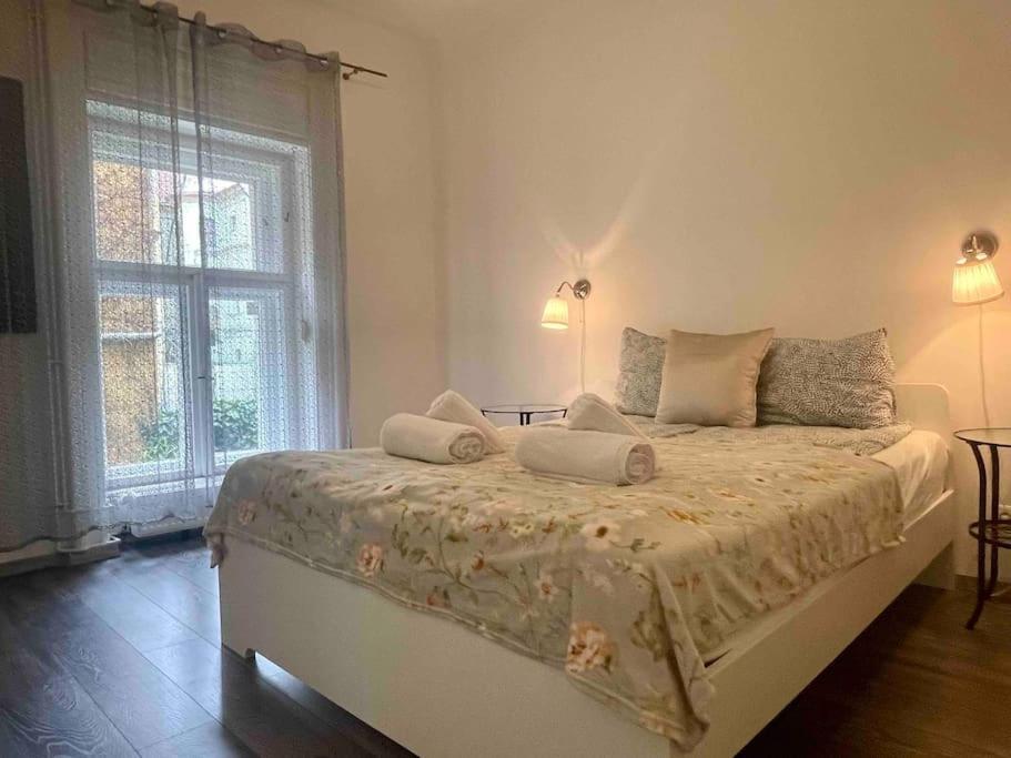 בודפשט Knezits Spacious Ac Terrace Free Parking מראה חיצוני תמונה